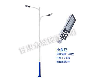 库车爆款市电路灯